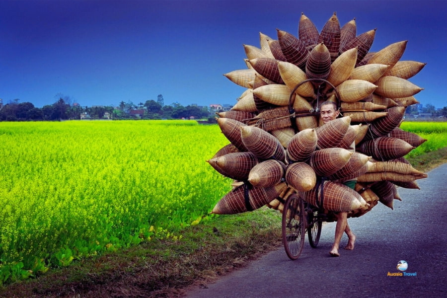 Man carrying bamboo fish traps on bicycle through rural fields in Vietnam – Auasia Travel